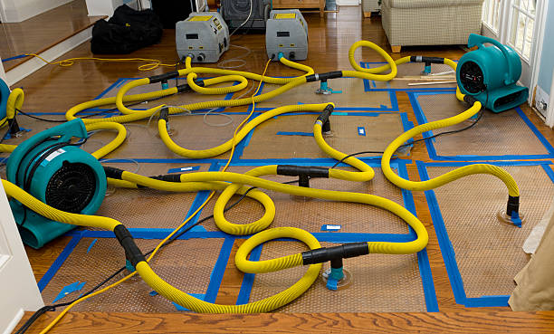 Professional Storm Water Damage Restoration technician working in Glenwood, IL